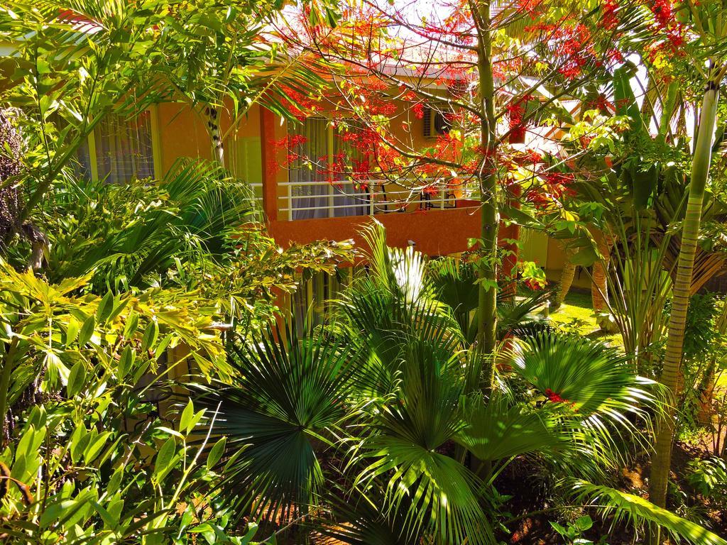 Koniambo Hotell Koné Rum bild